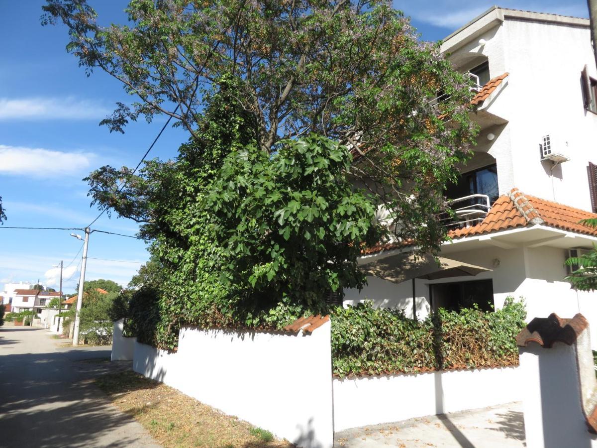 Apartments Amfa Biograd Na Moru Eksteriør billede